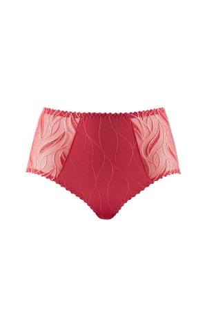 JULIA - FULL-BRIEF - ROUGE... 2