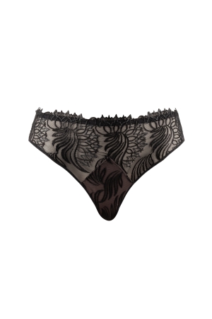 SWAN - Brief - NOIR NR0 2