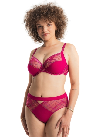 ALBANACH - HIGH WAIST BRIEF...