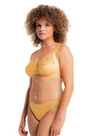 JULIA – BRIEF - GOLD GLD