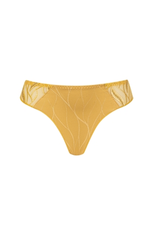 JULIA – BRIEF - GOLD GLD 2